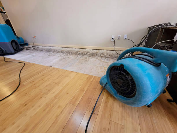 Professional Sewage Cleanup technician working in Cambria, IL
